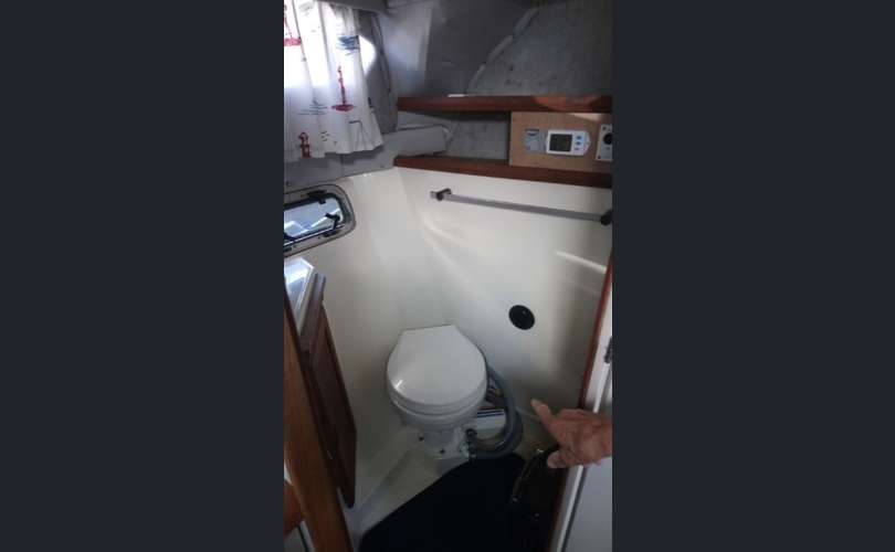 Bayliner 2850 Contessa Sunbridge-kuva-7